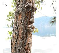 Easter Tree Face Old Man Whimsical Hugger Sculpture Ghost Facial Features Decoration for Holiday Festivals Halloween Garden