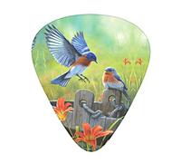 Eastern Blue bird Advanced guitar pick 12 pieces Three thicknesses for bass, electric guitar, acoustic guitar bag