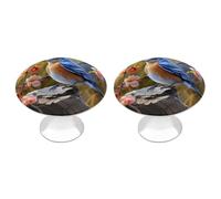 Eastern Bluebird Cabinet Knobs, 2-Pack Silver Stainless Steel Drawer Pulls with Screws, Elegant Hardware for Dressers, Kitchen,Cabinets & Desks