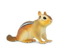 Eastern Chipmunk by Safari
