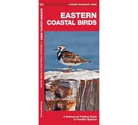 Eastern Coastal Birds, 2nd Ed: A Folding Guide to Familiar Species (Nature Observation North America)