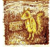 Eastern Fox - Eastern Fox Squirrels