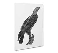 Eastern Imperial Eagle Canvas Print | Gallery Wrapped 30mm Frame Wall Art | 20x14 inches | Ready to Hang | Modern Animals Picture | Living Room Bedroom Lounge Office