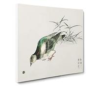Eastern Turtle Dove by Numata Kashu Canvas Print | Gallery Wrapped 30mm Frame Wall Art | 14x14 inches | Ready to Hang | Modern Animals Picture | Living Room Bedroom Lounge Office