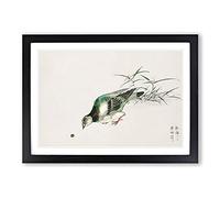 Eastern Turtle Dove by Numata Kashu Framed Print | A2 Black Framed Wall Art | Ready to Hang | Modern Animal Picture | Living Room Bedroom Lounge Office