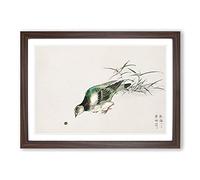 Eastern Turtle Dove by Numata Kashu Framed Print | A2 Walnut Framed Wall Art | Ready to Hang | Modern Animal Picture | Living Room Bedroom Lounge Office