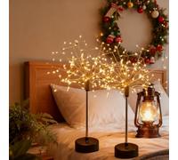 EastHedge Nest and Flowers Table Lights,Mini Table Starburst Silver,LED Starburst Firework Lamp for Party Home Decor 100 LED Fairy Light (2*Warm)