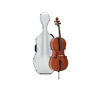 Eastman Master Cello Outfit with Gold Level Set Up