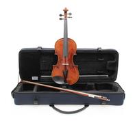 Eastman Master Series Stradivarius Violin Outfit with Gold Set Up