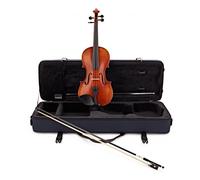 Eastman Young Master Series+ Violin Outfit Gold Set Up