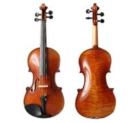Eastman Young Master Violin 4/4 Instrument Alone Size (Prepared)