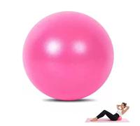 Eastrise Soft Pilates Balls,9 Inch Exercise, Mini Barre, Gym Ball,Lightweight, Portable Mini Barre Exercise Balls with an Inflatable Straw for Easy Inflation(Home & Gym & Office) (Pink)