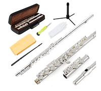 EastRock Flute Silver Closed Hole C,16 Key Flute Musical Instrument with Carrying Case, Stand, Gloves, Cleaning Cloth and Rod for Beginner,Kids, Student(Sliver)