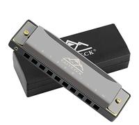 EastRock Harmonica 10 Holes 20 Tunes black Harmonica Key of G Mouth Organ for Beginner Gifts with Case and Cleaning Cloth (G,Black)