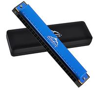 EastRock Harmonica 24 Holes 48 Tunes, Key of C, Mouth Organ for Beginners - Mini Blues Harmonica with Case and Cleaning Cloth (24 Holes, Blue)