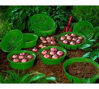 Easy Bulb Planting Bulb Basket and Lifting Leaving No Stray Bulbs for Crocus Snowdrops Tulip & Daffodils, 3 x Bulb Baskets by Thompson and Morgan