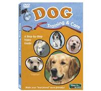 Easy Dog Training & Care