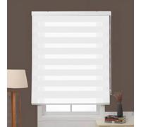 Easy Fix Zebra Roller Blind 80 x 100 cm UV Protection Translucent Vision Curtains Easy to Use with Install Accessories for Home Office Window, White
