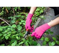 Easy Grow Seeds Ambassador Ladies Latex Heavy Duty Gloves in Pink - Medium Womens Gardening DIY