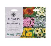 Easy Growing Seed Variety Grow Your Own Garden Flowers Mr Fothergill's