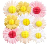 EASY JOY 9PCS 3D Paper Flower Decorations for Back to School Classroom