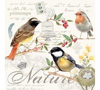 Easy Life 414OISE Bird Paper Napkins, 33 x 33 cm, Multi-Coloured