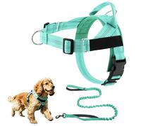 Easy On-Off Padded Dog Harness for Walking, Adjustable No Pull Dog Harness, Soft Breathable Mesh Padded Pet Vest Walking Harnessfor Dogs Training Outdoor Use (Green, XS)