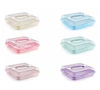 Easy Pack Large Plastic Rectangle Cake Storage Container