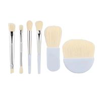 Easy-taken Travel Makeup Brush Set 6 Piece Small Cosmetic Tools Pouch