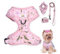 Easy-Walk Dog Harness and Leash, Medium Dog Harness, Puppy Starter Kit | No-Escape, Easy-Walk Harness & Leash Set Training | Frenchie, Yorkie, Chihuahua, Dachshund Dog or Puppy Vest w/Poop Bag Holder