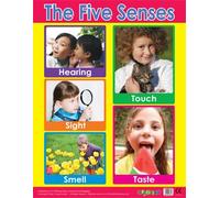Easy2Learn Five Senses Learning PSHE School Poster