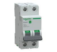Easy9 Pro EZ9F57213 C13A 2P Circuit Breaker