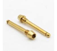 Easybikeparts Titanium Brake Pad Retaining Pins for SRAM Maven Ultimate, Silver & Bronze (Pack of 2)