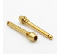 Easybikeparts Titanium Brake Pad Retaining Pins for SRAM Maven Ultimate, Silver & Bronze (Pack of 2) (Gold)