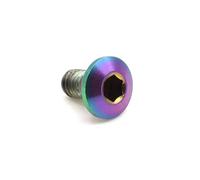 Easybikeparts Titanium Shifter Cover Bolt for SRAM Trigger Shifters - Lightweight Replacement Shifter Cover Screw (Oil Slick)