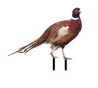 EasyByMall Garden Ornaments Pheasant, Acrylic Rooster Animal Shape Decor For Outdoor For Lawns Gardens Backyards Decoration Ornament(A)