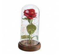 Easylife Forever Rose LED Light, Light Up Rose in Glass Dome, LED Flower Lamp Rose Gift for Her, Beauty and the Beast Rose, 3xAAA Battery Powered (Not Included) - Fully Guaranteed