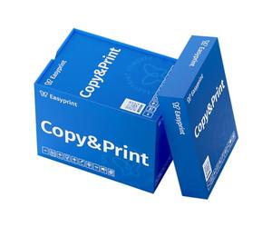 Easyprint Printer Paper Copier Paper 2500 Sheets 5 x 500 A4 Premium Brilliant White CIE 160 Test Winner PEFC Environmental Certificate