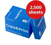 Easyprint Printer Paper Copier Paper 2500 Sheets 5 x 500 A4 Premium Brilliant White CIE 160 Test Winner PEFC Environmental Certificate