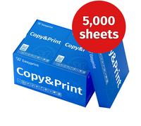 printer paper Copy paper 5,000 sheets A4 bright white PEFC certified Easyprint
