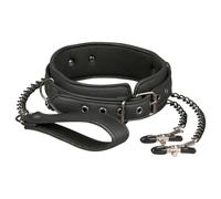 Easytoys - 4-Piece Nipple Clamp, Collar & Leash Set