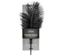 EasyToys - Long Feather Teaser (Black)