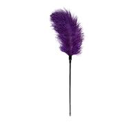 EasyToys Purple Feather Tickler