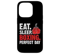 Eat Sleep Boxing Perfect Day Vintage Fighting Sport Case for iPhone 14 Pro