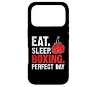 Eat Sleep Boxing Perfect Day Vintage Fighting Sport Case for iPhone 17 Pro