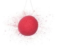 Eat Water Konjac Sponge (Dome Coral)