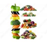 Eating To Improve Body Composition: The Science And The Art [DVD] [2007] [Region 1] [US Import] [NTSC]