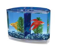 EatingBiting Large Double Compartment Fighting Fish Box Eco Rumble Fish Aquarium Mini Aquarium Plastic Isolation Box Breeding Box Transparent Betta Fish Tank