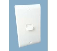 Eaton P421 Double Pole Switch 50 Amp (2 Gang)