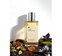 Eau de Parfum, Steely Temptation, Cardamom, Leather, Jasmine Sambac, Amber, Moss, Patchouli, Warm, Winter, Autumn, 1.70 Ounce / 50 ml